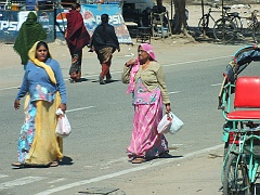 Jaipur (59)